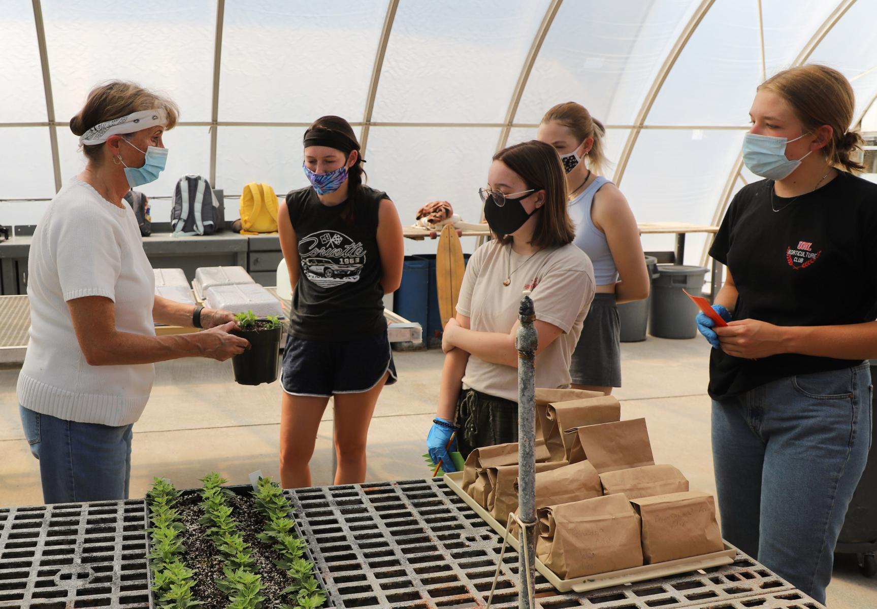 Ellen T. Paparozzi, left, Department of Agronomy and Horticulture professor, demonstrates how to properly transplant plants to Anna Wennekamp, Jamie Dasenbrock, Hallie Savidge and Victoria Boden in the Horticulture 355 Perennial, Pot and Bedding Plant Production Laboratory class in an East Campus greenhouse. 
 